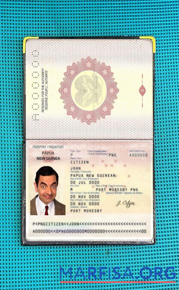 Printable Papua New Guinea Passport photo look sample